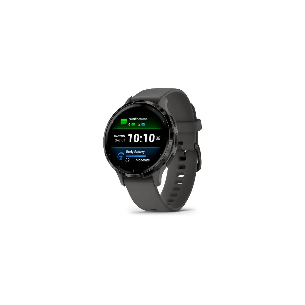 Smart watch GARMIN Venu 3S Pebble Gray Slate-2