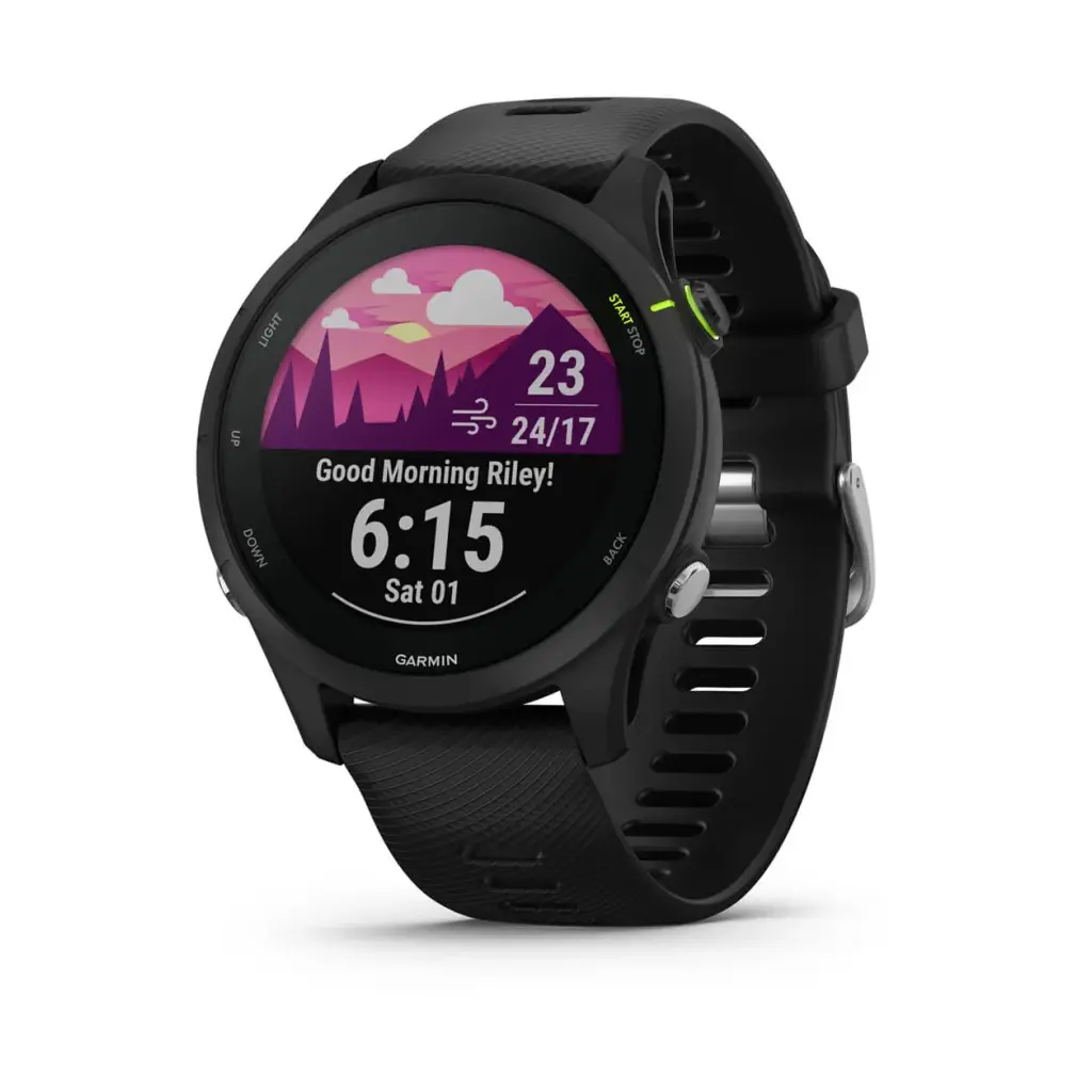 Smart watch GARMIN Forerunner 255 Slate Grey-0