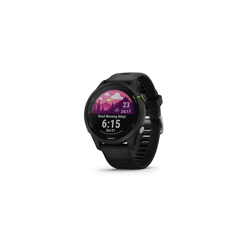 Smart watch GARMIN Forerunner 255 Slate Grey-2