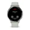 Smart watch GARMIN Venu 3S Silver Sage Gray-1